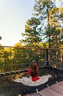 Tiny Pines Glamping