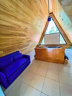 Tiny Pines Glamping