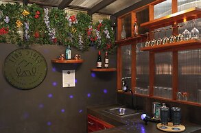 Tiny Pines Glamping