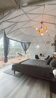 Tiny Pines Glamping