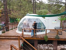 Tiny Pines Glamping