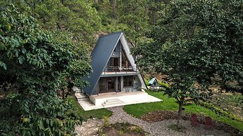 Tiny Pines Glamping
