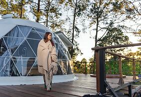 Tiny Pines Glamping
