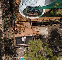 Tiny Pines Glamping