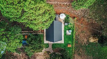 Tiny Pines Glamping