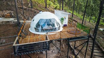 Tiny Pines Glamping