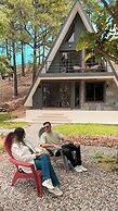 Tiny Pines Glamping