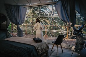 Tiny Pines Glamping