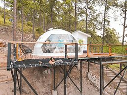 Tiny Pines Glamping