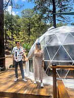 Tiny Pines Glamping