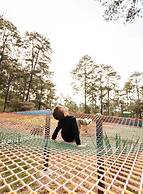 Tiny Pines Glamping