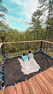 Tiny Pines Glamping
