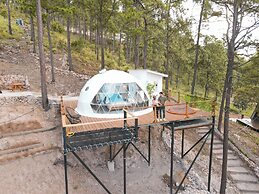 Tiny Pines Glamping