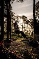 Tiny Pines Glamping