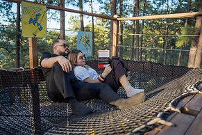 Tiny Pines Glamping