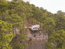 Tiny Pines Glamping