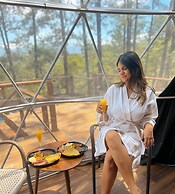 Tiny Pines Glamping
