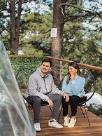 Tiny Pines Glamping