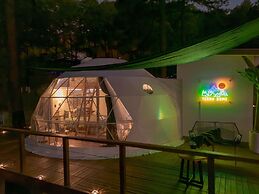 Tiny Pines Glamping