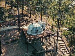 Tiny Pines Glamping