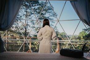 Tiny Pines Glamping