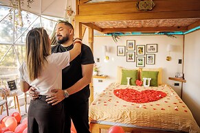 Tiny Pines Glamping