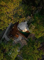 Tiny Pines Glamping
