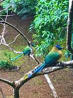 Yerbabuena Lodge