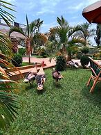 Equator Pastoral Resort