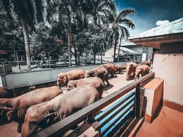 Hotel Elephant Park