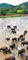 Hotel Elephant Park