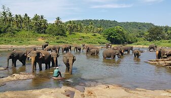 Hotel Elephant Park