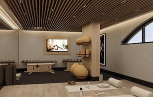 Radisson Hotel Amsterdam Airport Schiphol Hoofddorp