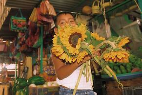 Hotel Posada Girasol