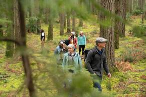 The Himalayan Heaven Homestay Binsar