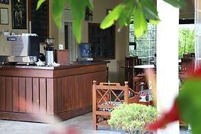 Jungle Paradise Hotel