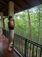 Jungle Paradise Hotel