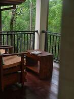 Jungle Paradise Hotel