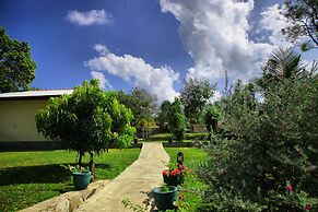 Jungle Paradise Hotel