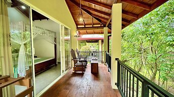 Jungle Paradise Hotel