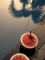 Jungle Paradise Hotel