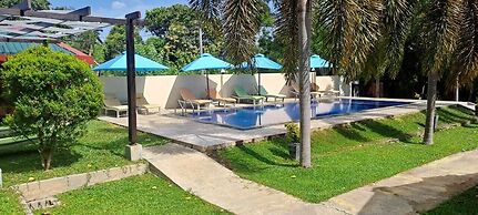 Jungle Paradise Hotel