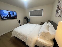 Lumi Deluxe
