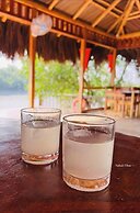JungleBari Mangrove Resort