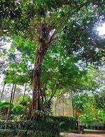 Chuti Resort Purbachal