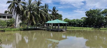Mangrove Haven Resort