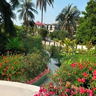 Mangrove Haven Resort