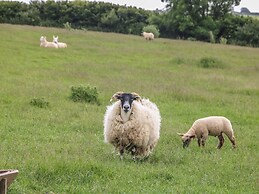 Ewe Barn