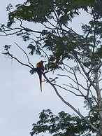 HomePuraVidaconSaborCubano
