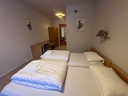 Bjorliheimen Fjellhotell-Hotellrom